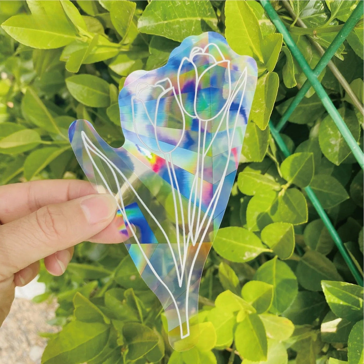 Tulips Suncatcher Sticker